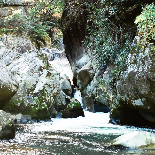 鬼の舌震